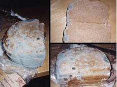 Meat Containers
