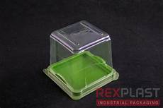 Thermoform Plastic Packagings